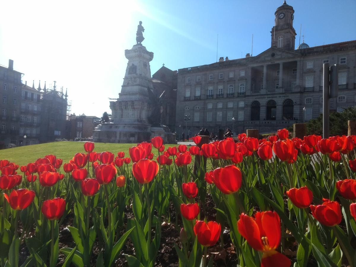 Merc Porto Ribeira'S Up Place Bagian luar foto